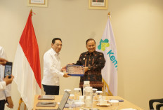 Kedekatan dengan Wamenkes, Maulana Dorong Jambi Jadi Pilot Project Kesehatan