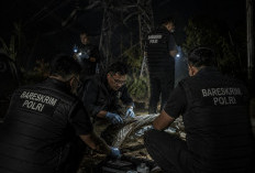 PLN Waspada! Polda Jambi Backup Investigasi Bareskrim Polri Terkait Blackout Sumatera