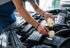 Jangan Anggap Sepele! Kesalahan Merawat Mobil Hybrid yang Sering Dilakukan, Lakukan Cara Ini