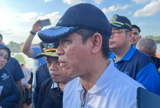 Menteri LHK Ingatkan Jambi Soal El Nino hingga Risiko Karhutla Saat Kemarau Panjang