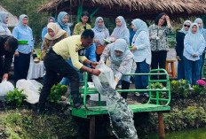 Ketahanan Pangan, IKBI PTPN Sebar Ikan Nila di kolam Stunting 