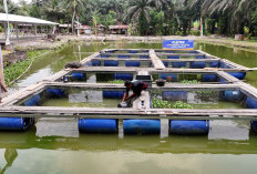 Desa Empang Baru Makin Ngebut, Program BRI Dorong Ekonomi Warga Kian Tumbuh