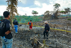 Karhutla Jambi! 55 Hektare Lahan di PT REKI dan Samhutani Terbakar: Polda Masih Dalami Kasusnya