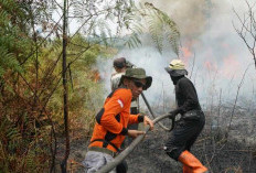 Perkuat Pertahanan Hutan Harapan dari Karhutla,  Kolaborasi Menjaga Hutan Hujan Dataran Rendah Sumatra