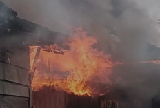 Kebakaran Hebat di Jelutung, 19 Rumah Terbakar dan 20 KK Terdampak