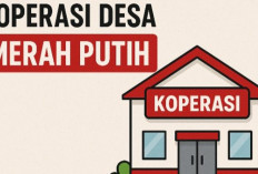 Dibuka 30.000 Lowongan! Jadi Manajer Kopdes Merah Putih, Gaji BUMN & Penempatan Seluruh Indonesia