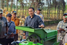Anak Sekolah Harus Tahu Cara Bertani, Bupati M. Syukur Gagas Lahan Pertanian Jadi Ruang Edukasi 