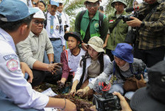 KLH Bersama APP Group Ajak Generasi Muda Kenali Pengelolaan Ekosistem Gambut melalui Program KELANA di Jambi