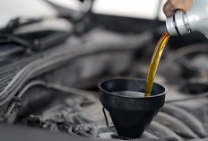 Jangan Salah Pilih! Ini Beda Oli Semi-Sintetik vs Full Sintetik Buat Mesin Mobil Kesayangan Anda