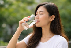 Berapa Banyak Air yang Ideal untuk Ginjal? Jangan Sampai Kelebihan!