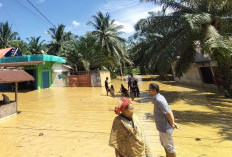 Sekolah Terendam Banjir, Ujian Siswa SD di Sarolangun Dipindahkan Demi Kelancaran TKA