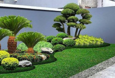 Rumah Minimalis Makin Estetik: Cara Kreatif Bikin Taman Hijau di Area Sempit 
