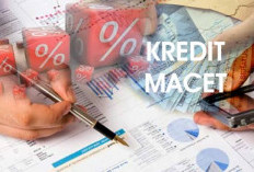 Penanganan Kredit Macet di Bank, OJK Dukung Kepastian Hukum 
