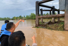 Begini Kesaksian Warga Saat Tongkang Batu Bara Hantam Jembatan Muara Sabak: Tiba-Tiba Ada Dentuman Keras