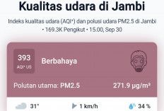Peringatan! ISPU Kota Jambi Tembus 393, Masuk Kategori Berbahaya