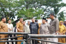 Pemkot Jambi Bersiap Gugat, Soal Kepemilikan Lahan Dekat Taman Rimba