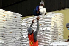 Harga Bahan Pokok di Sarolangun Mulai Bergerak Naik, Beras dan Gula Picu Kekhawatiran Warga