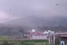 Angin Puting Beliung Mengamuk di Kerinci, 30 Rumah Rusak! Atap Warga Terbang dan Pohon Bertumbangan