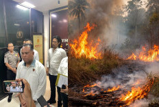 Karhutla 189 Hektare di Jambi Terungkap, Ditreskrimsus Tetapkan ED sebagai Tersangka