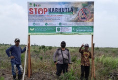 Selamatkan Hutan Gambut Londerang dari Karhutla PT SAS Perbanyak Embung dan Sekat Kanal