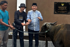 Kejati Jambi Kurban 14 Ekor Sapi, Semangat Kebersamaan dan Kepedulian di Hari Raya Iduladha