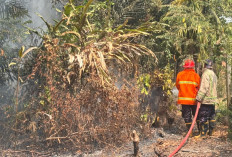 ISPU Muaro Jambi Sempat 206 , Paling Tinggi Dibandingkan Kabupaten Lain di Jambi