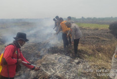 Karhutla 20 Hektare Mengamuk di Sungai Aur, Tim Gabungan Turunkan Peralatan Khusus Lahan Gambut