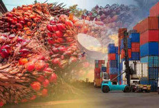 Ini 11 Negara Pemasok Bahan Pangan Terbesar di Dunia, Indonesia Masuk Daftar!