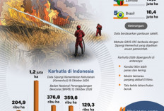 Karhutla Melanda Dunia pada 2026