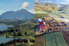 Udara Sejuk & View Juara! 4 Destinasi Alahan Panjang Favorit Keluarga Saat Lebaran