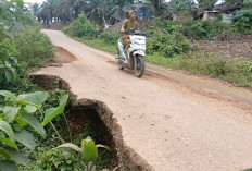Waduh! Jalan Rantau Ikil Nyaris Amblas, Akses Jambi-Sumbar Terancam Putus Total