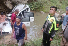 Sopir Mengantuk! Pajero Melaju hingga Terjun ke Jurang 6 Meter di Ness Batang Hari, 1 Orang Tewas