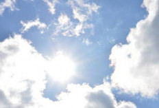 Prakiraan Cuaca Jambi Hari Ini: Dominasi Cerah dengan Suhu Capai 33°C