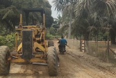 PTPN IV Regional IV Tuntaskan Perbaikan Jalan Desa Lidung dalam Sepekan 
