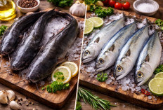 Ikan Lele vs Ikan Kembung, Mana yang Lebih Sehat untuk Menu Harian?