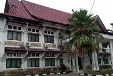 Waduh! 831 Anak di Tebo Tidak Sekolah