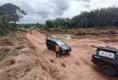 Tambang Liar Digerebek! 7 Orang Diciduk, 5 Alat Berat Disita
