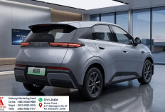 BYD Mulai Buka Pemesanan Atto 1 Generasi Terbaru di China, Bawa Banyak Peningkatan