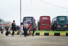 Mudik Gratis Kemenhub 2026 Resmi Dibuka Hari Ini, Buruan Daftar Sebelum Kuota Habis!