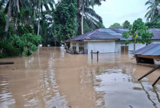 Banjir Mendadak Rendam Sarolangun! Air Nyaris 1 Meter, Warga Limbur Tembesi Mulai Cemas