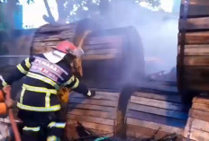 Heboh! Gudang Kabel di Jambi Timur Terbakar, Damkar Tiba dan Berhasil Jinakkan Api