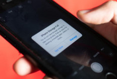 HP Lemot karena WhatsApp? Ini Cara Simpel Biar Memori Kembali Lega