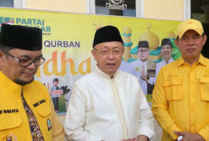 Pecah Rekor! Golkar Jambi Sembelih 14 Hewan Kurban, 1.150 Paket Daging Dibagikan ke Warga