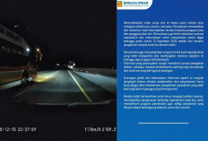 Viral! Aksi Ugal-ugalan di Jalan Tol Berujung Pemecatan Sopir Bus Rosalia Indah