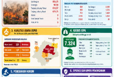 Wih! Seluas 5.106,29 Hektare Lahan di Jambi Terbakar, Kabupaten Batang Hari Terluas