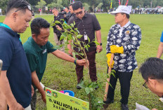Walikota Maulana Tegaskan Komitmen Kota Tangguh, Tanam Pohon Bersama 98 Wali Kota di Medan