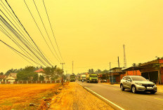 Kabut Asap Makin Pekat di Muaro Jambi, PM2.5 Sempat Menyentuh Angka 325
