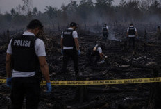 Lahan 3 Hektare Terbakar di Jaluko, Polisi Buru Pemilik Lahan dan Dalami Penyebab Karhutla