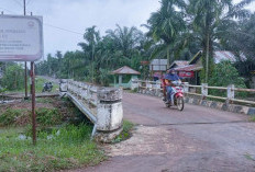 Jembatan Blok C2 SKK Migas-PetroChina Berada Disekitar Wisata Sumber Air Panas Pandan Sejahtera Tanjab Timur