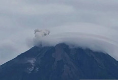 Gunung Semeru Erupsi Delapan Kali, Kolom Abu Capai 800 Meter di Atas Puncak